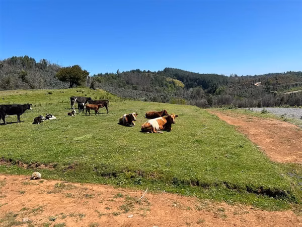 Parcelas en venta a minutos de PUNTA DE PARRA