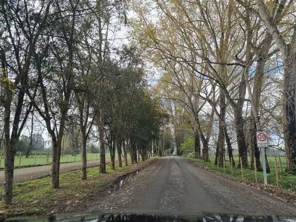 Venta parcela Bosques del Tijeral Osorno