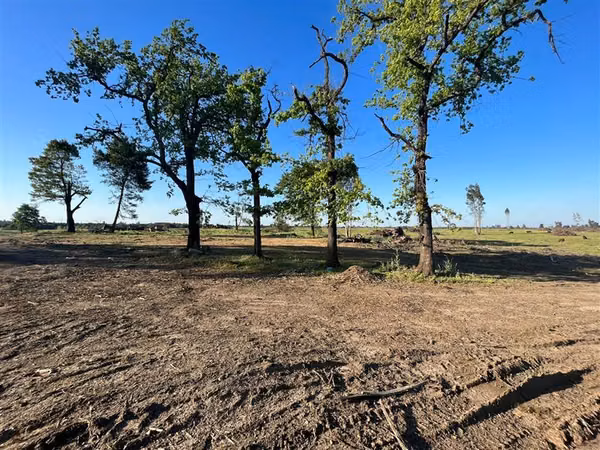 Vende 241 hás en Parral - Región del Maule