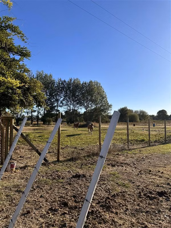 Parcela en calle Colonia B. Ohiggins en venta en Chillán