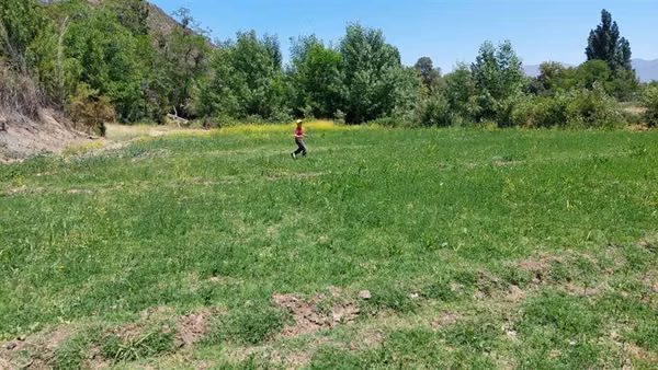 Parcela en venta en Los Andes