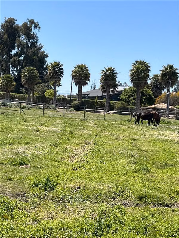Parcela en venta en Melipilla