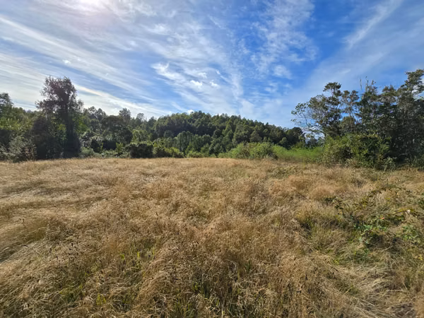 Parcela En Venta 5.000 M2 Sector San Javier, Valdivia