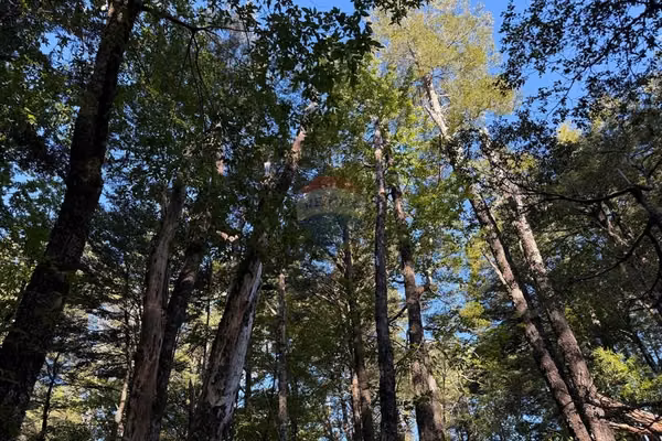 Vende parcela en rinconada