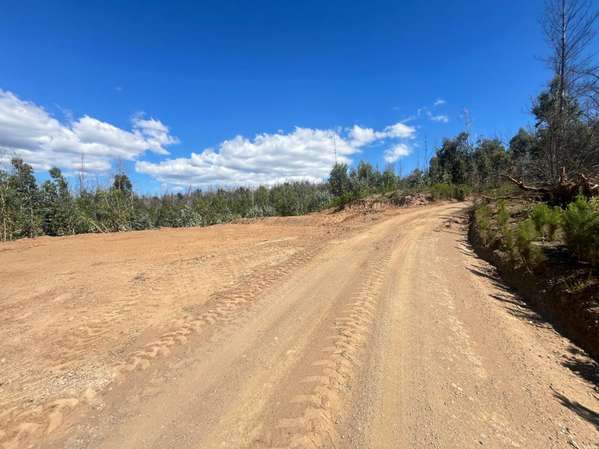PARCELAS EN VENTA EN SANTA JUANA DESDE $14.000.000