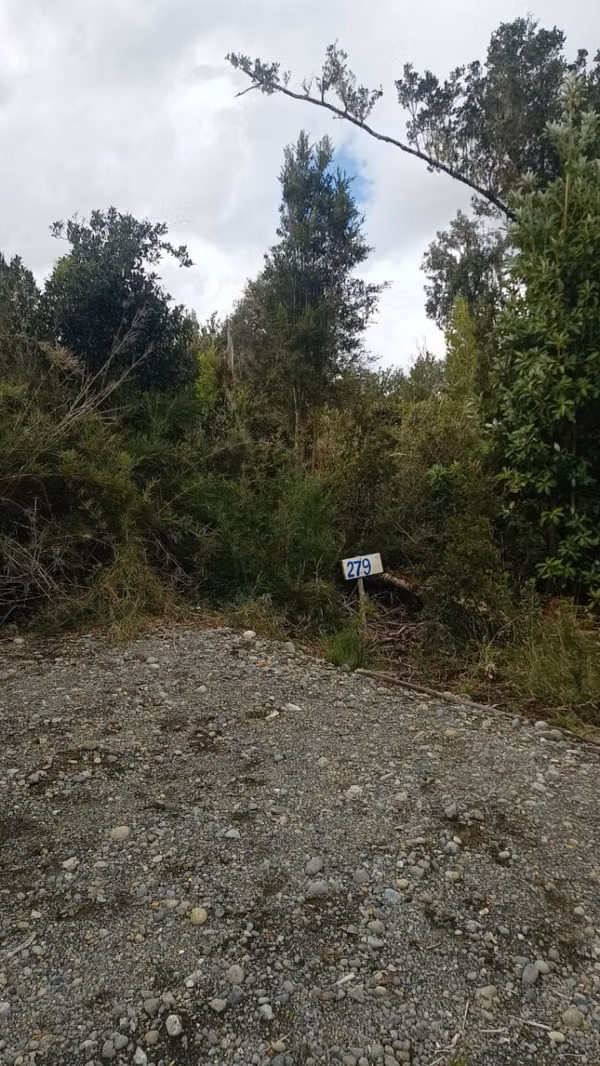 Grace kelm vende terreno  de 5000m2 con luz , en Dalcahue Chiloé