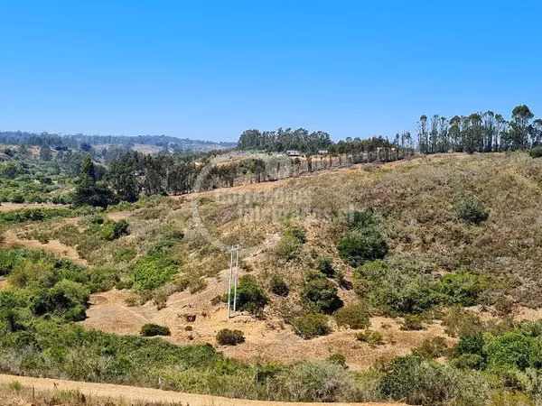Terreno Construcción  en Venta en Algarrobo