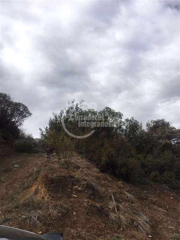 Sitio en venta en Lo Barnechea