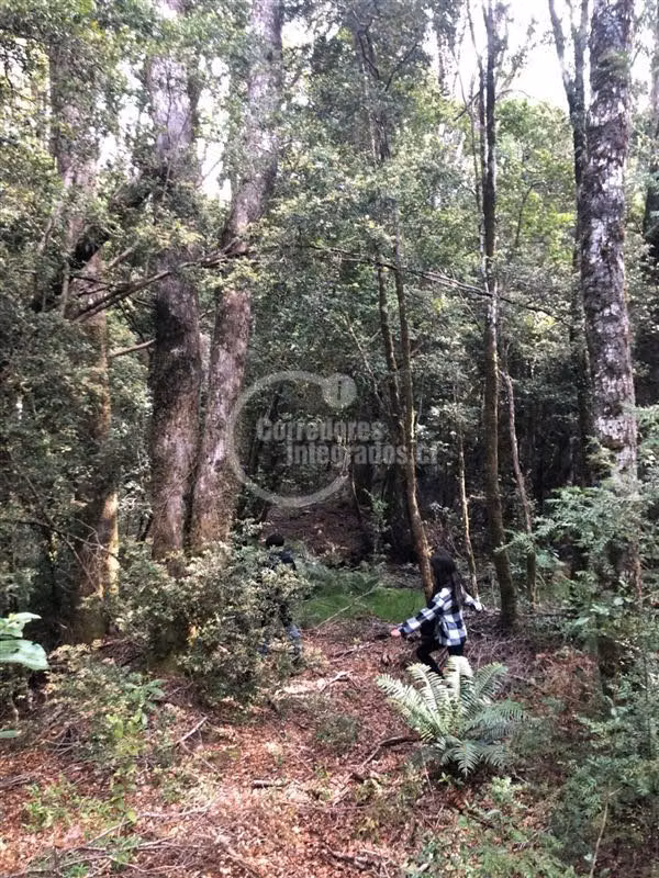 Parcela en venta en Puerto Montt