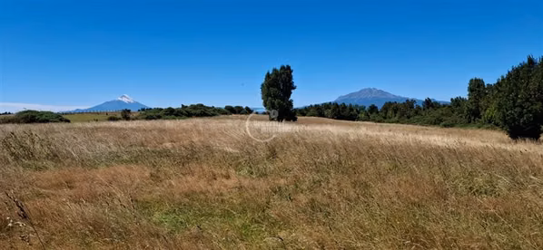 Agrícola en venta en Puerto Varas