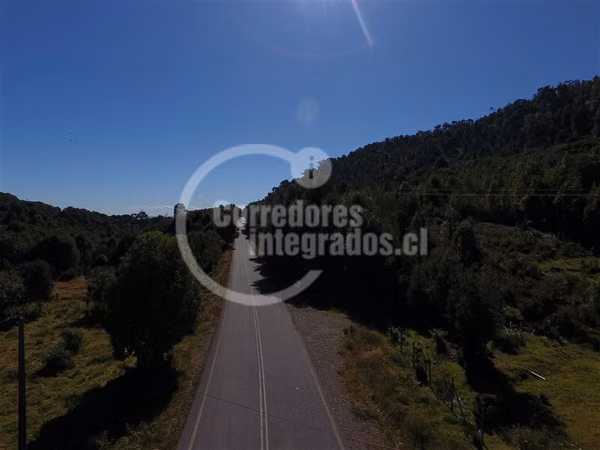 Agrícola en venta en Hualaihue