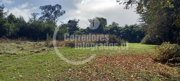 Parcela única en Puerto Varas, borde lago. Camino a Ensenada
