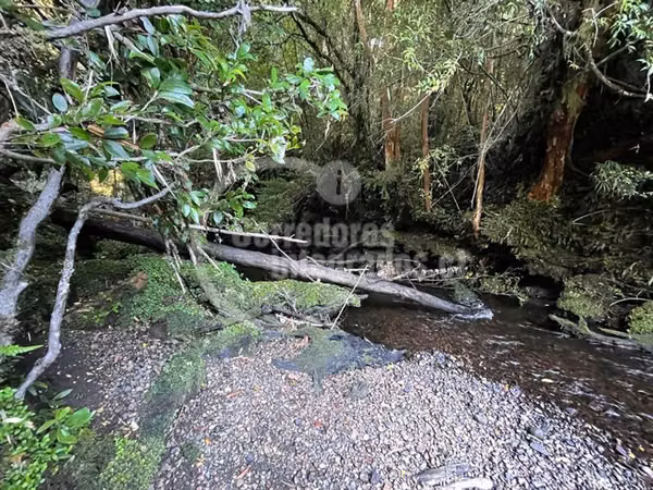 Agrícola en Venta en Hualaihue