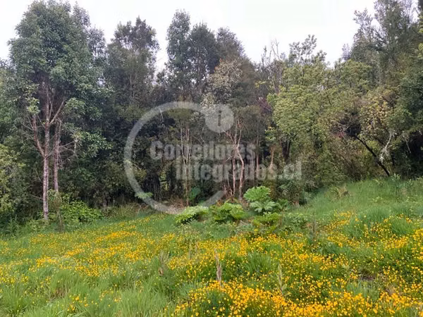 Parcela en venta en Puerto Varas Espectacular
