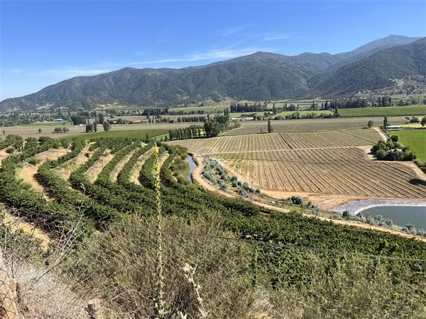 Agrícola en venta en Las Cabras