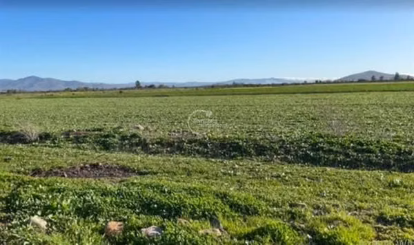Agrícola en venta en Punitaqui