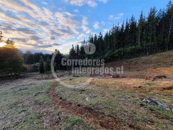 Parcela en venta comuna Villarrica- Correntoso