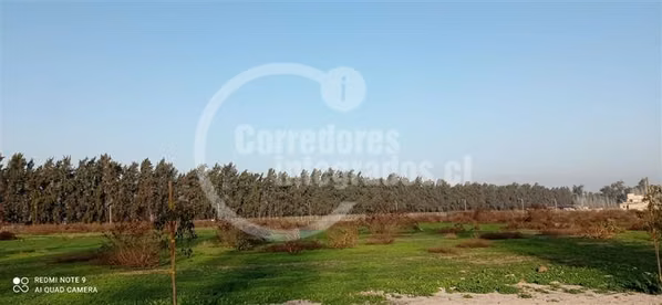 Sitio en Venta Liray / Santa Ester
