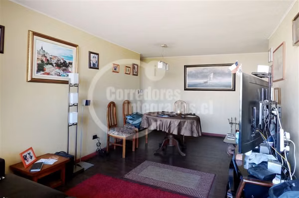 2 dorm. 2 baños, con vista la Parque OHIGGINS. Santiago
