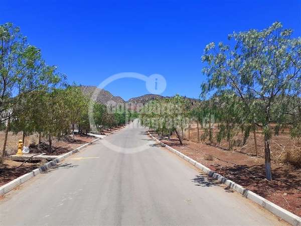 Parcela en venta en Colina