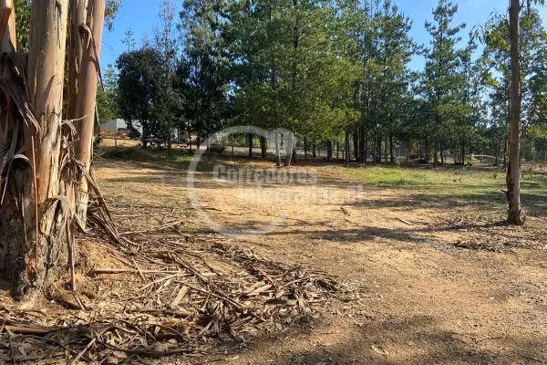 Parcela en venta en ALGARROBO
