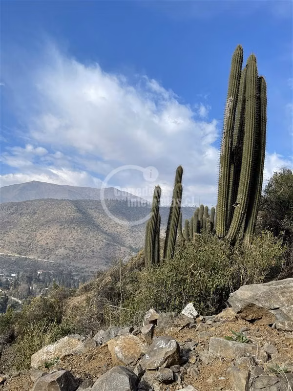 Sitio en venta en Lo Barnechea