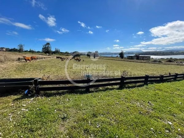 Sitio en venta en Panguipulli