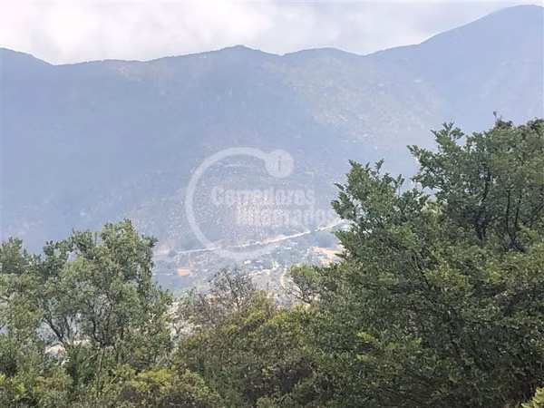 Sitio en venta en Curacaví