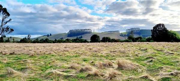 Preciosa parcela sector Pichilaguna en venta en Llanquihue