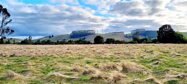 Preciosa parcela sector Pichilaguna en venta en Llanquihue
