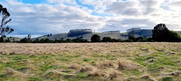 Preciosa parcela sector Pichilaguna en venta en Llanquihue