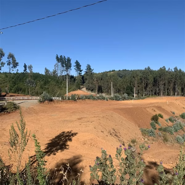 Parcelas 5.000 m2 cerca Concepción en Hualqui desde 550 UF