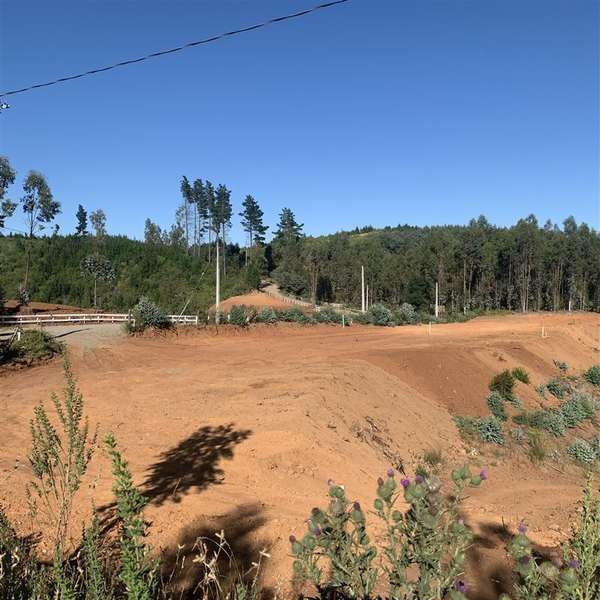 Parcelas 5.000 m2 cerca Concepción en Hualqui desde 550 UF