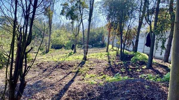 Sitio de 5000 mt en venta en condominio Maitencillo
