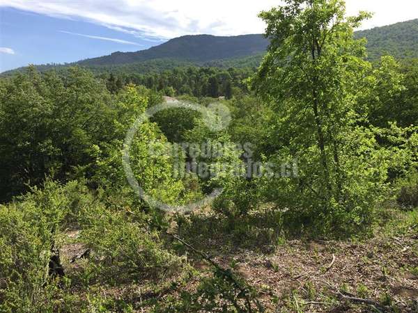 Venta de sitio en Curicó Monte Grande El Buchen