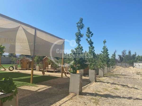 Parcela en venta en Colina