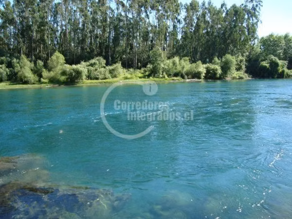 Sitio 5000 m2 venta Ciudad de Los Lagos