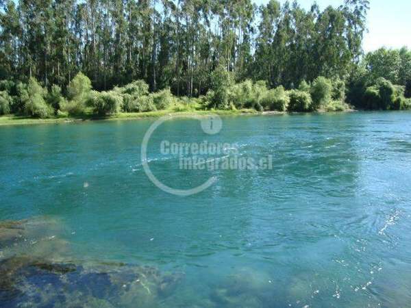 Sitio 5000 m2 venta Ciudad de Los Lagos