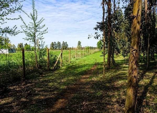 Parcela en venta en Bulnes