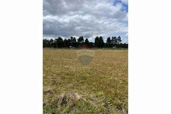 Parcela nueva en osorno: vida tranquila y natural