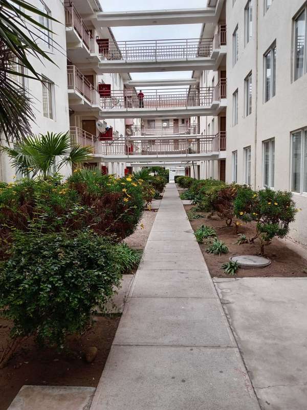 Arriendo Departamento en Av Pacífico Con GC  (154629)
