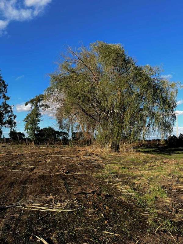 Parcela 5000m2 a 12 minutos ruta 5 Sur  (154847)