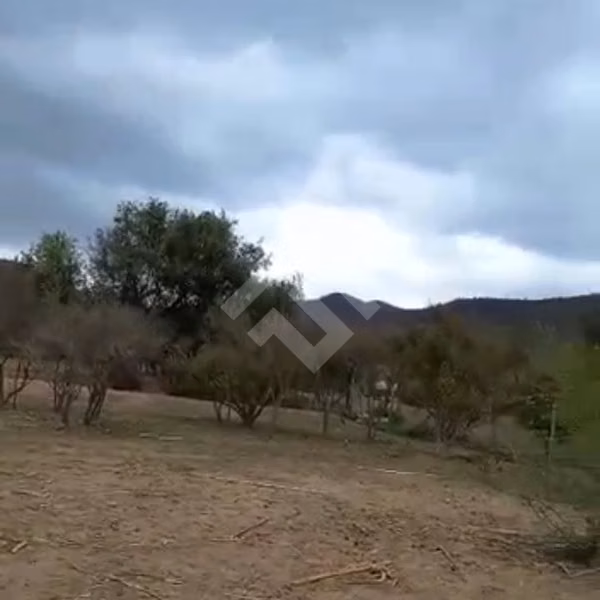 Sitio en venta en Curacaví