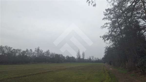 Agrícola en venta en Paine