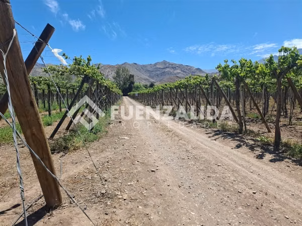Agrícola Vitícola pisquera en venta en La Viñita, Vicuña