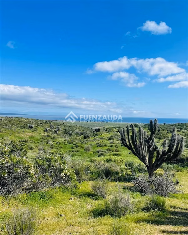 Hermoso terreno en venta Playa Grande Tongoy, cerca Humedal