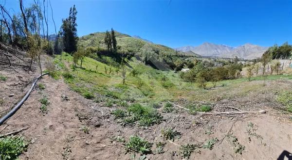 Parcela en venta en Vicuña