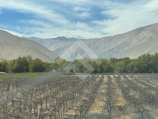 Sitio en venta en Vicuña