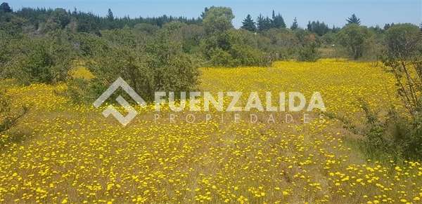 Parcela en venta en Parral sector Machicura