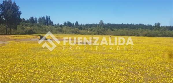 Parcela en venta en Parral